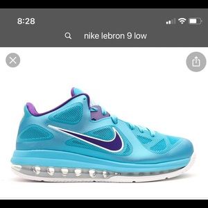 Nike Lebron 9 Low Hornets